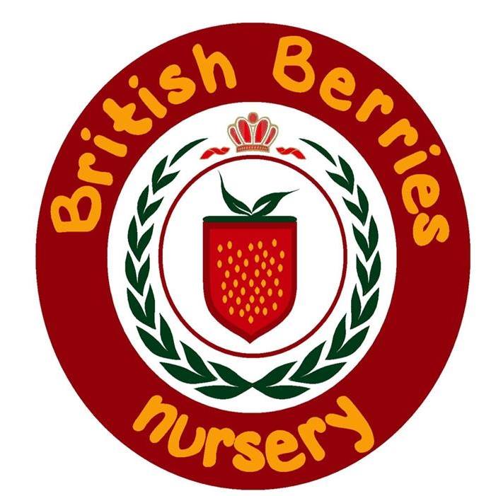 British Berries Nursery Dubai